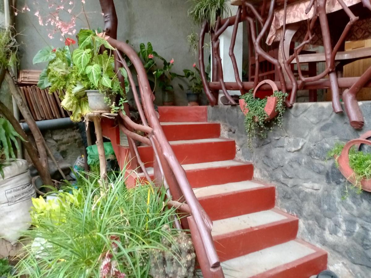 Nimsara Homestay Ella Exterior foto
