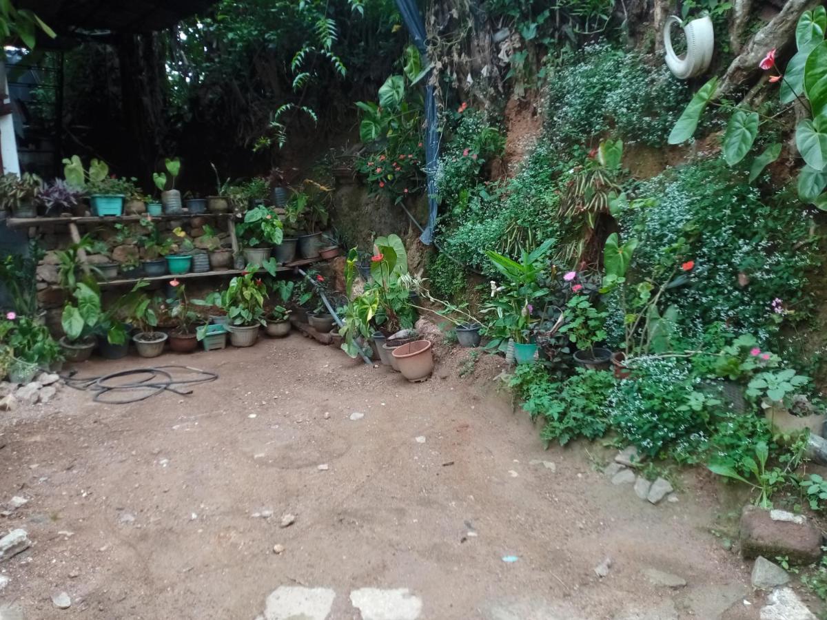 Nimsara Homestay Ella Exterior foto